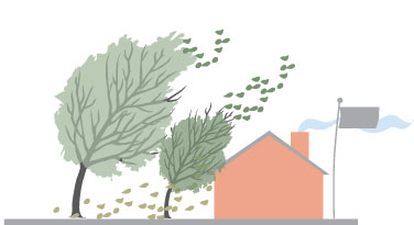 Image of Force 7 wind blowing trees and house