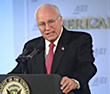 Vice President Cheney speaking at podium on November 21, 2005